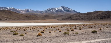 Uyuni tuz düz, Bolivya, Güney Amerika yakınlarındaki Andes dağ dayanımı Canapa Lagünü (Laguna Canapa) Manzara manzara