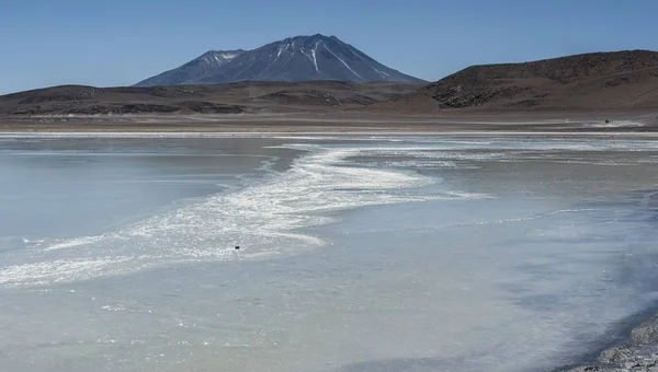 Laguna Honda Inglese Deep Lagoon Nel Sud Lipez Altiplano Reserva — Foto Stock