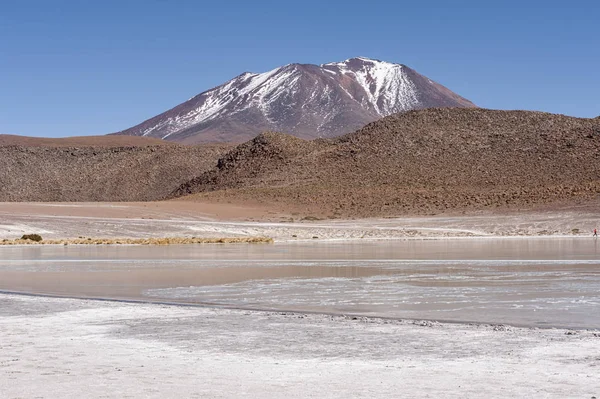 Laguna Honda Het Engels Deep Lagoon Sud Lipez Altiplano Reserva — Stockfoto