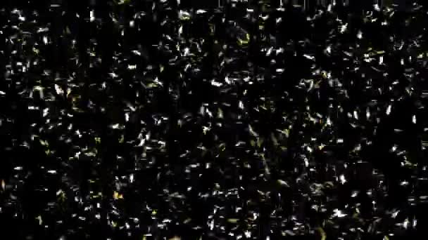 Πολλά Αστέρια Χρυσές Κομφετί Μαύρο Φόντο Κυρτή Κίνηση — Αρχείο Βίντεο