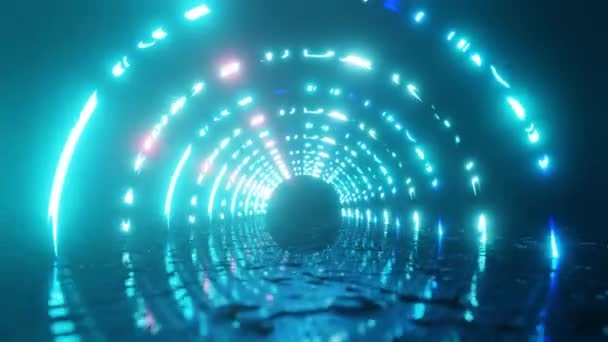 Loop Plan Neon Light Circles Abstrab Fluorescent Background Neon Fone — стоковое видео