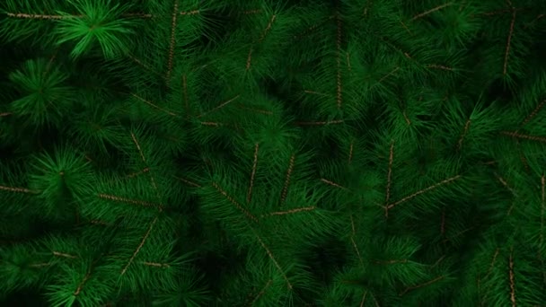Christmas tree background. Christas branches. New Year fir tree with decorations and illumination. Xmas tree decorations background. New Year and Christmas 2021. Loop animation 4K — Stock Footage Christmas Tree Background Christas Branches New Year Fir Tree Decorations Video Clip