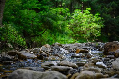 Dağ nehri su manzarası. Dağlardaki vahşi nehir