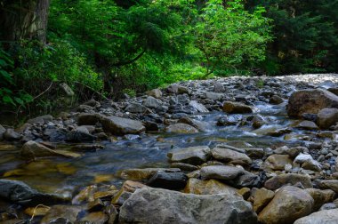 Dağ nehri su manzarası. Dağlardaki vahşi nehir