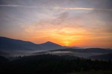 Yazın gün batımında güneş ve çam ağaçlarıyla birlikte dağlar.