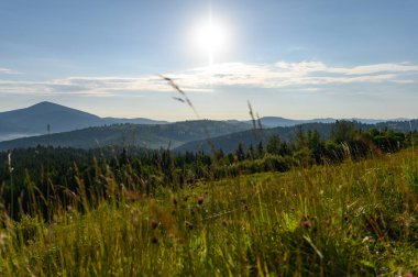 Dağlar, güneş ve çam ağaçlarıyla kaplı. Gün doğumu
