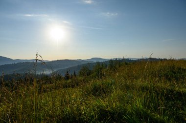Dağlar, güneş ve çam ağaçlarıyla kaplı. Gün doğumu