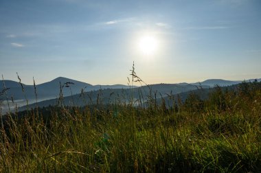 Dağlar, güneş ve çam ağaçlarıyla kaplı. Gün doğumu