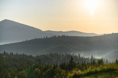 Dağlar, güneş ve çam ağaçlarıyla kaplı. Gün doğumu