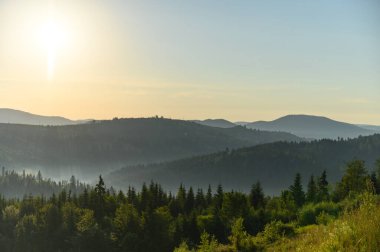 Dağlar, güneş ve çam ağaçlarıyla kaplı. Gün doğumu