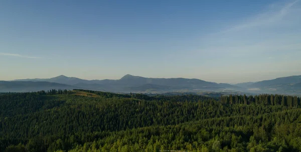 Berge Sommersonnenaufgangslandschaft Mit Sonne Und Latschenkiefern Landschaft Mit Felsen Sonniger — Stockfoto