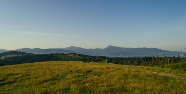 Berge Sommersonnenaufgangslandschaft Mit Sonne Und Latschenkiefern Landschaft Mit Felsen Sonniger — Stockfoto