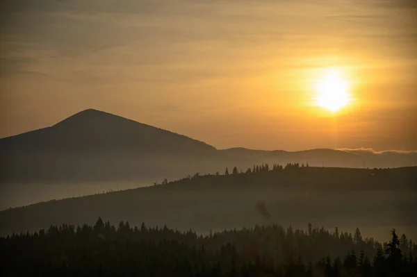 Berg Sommar Solnedgång Landskap Med Sol Och Alpina Tallar — Stockfoto