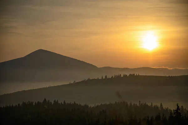 Montañas Verano Atardecer Paisaje Con Sol Pinos Alpinos —  Fotos de Stock