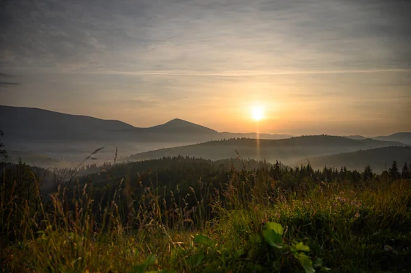 Montañas Verano Atardecer Paisaje Con Sol Pinos Alpinos —  Fotos de Stock