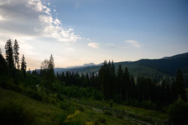 Berglandschaft Mit Sonne Und Latschenkiefern Sonnenaufgang — Stockfoto