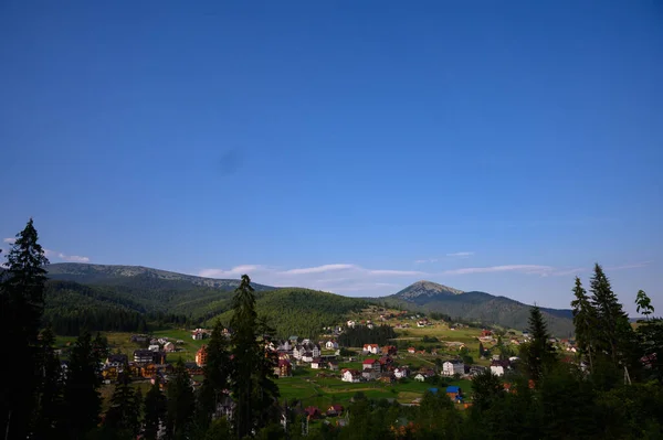 Буковель Гірський Пейзаж Сонцем Альпійською Сосною — стокове фото