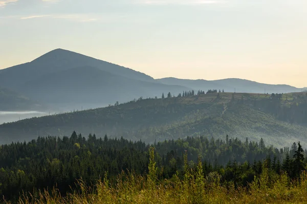 Berglandschaft Mit Sonne Und Latschenkiefern Sonnenaufgang — Stockfoto