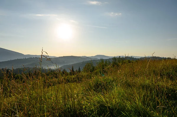 Berglandschaft Mit Sonne Und Latschenkiefern Sonnenaufgang — Stockfoto