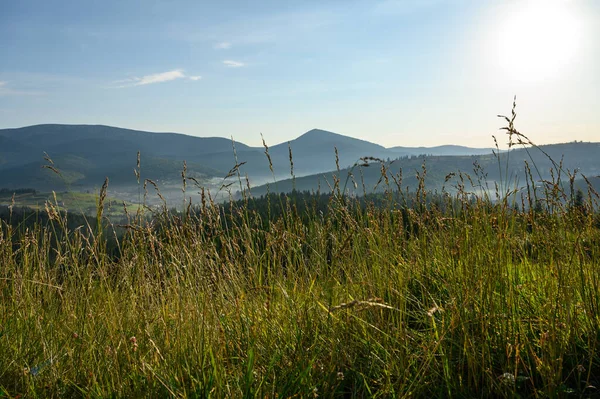 Berglandschaft Mit Sonne Und Latschenkiefern Sonnenaufgang — Stockfoto