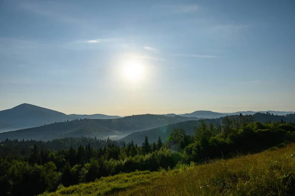 Berglandschaft Mit Sonne Und Latschenkiefern Sonnenaufgang — Stockfoto