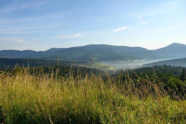 Berglandschaft Mit Sonne Und Latschenkiefern Sonnenaufgang — Stockfoto