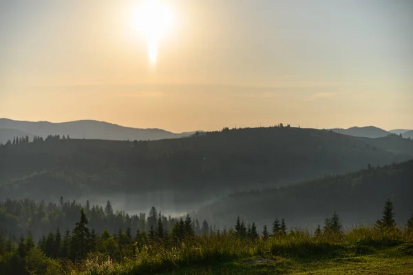 Berglandschaft Mit Sonne Und Latschenkiefern Sonnenaufgang — Stockfoto