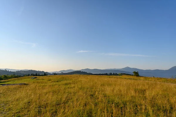 Berglandschaft Mit Sonne Und Latschenkiefern Sonnenaufgang — Stockfoto