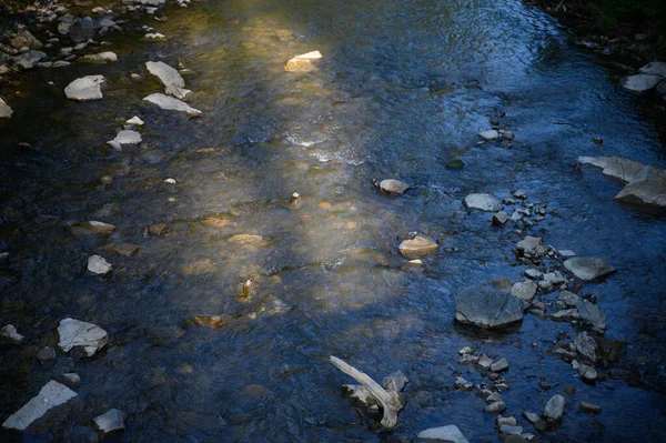 Montanha Rio Paisagem Água Rio Selvagem Nas Montanhas — Fotografia de Stock