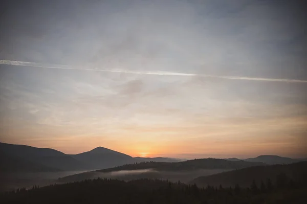 Berge Sommer Sonnenuntergang Landschaft Mit Sonne Und Latschenkiefern lizenzfreie Stockbilder