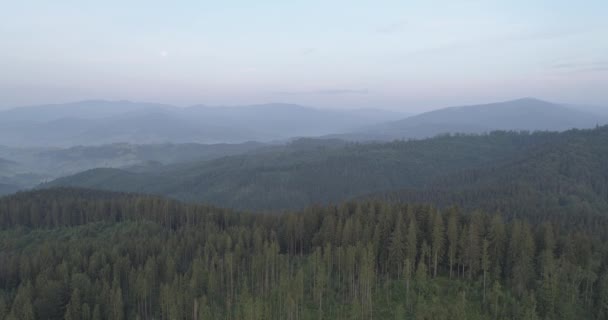 Montañas Paisaje Con Sol Pinos Alpinos Amanecer — Vídeos de Stock