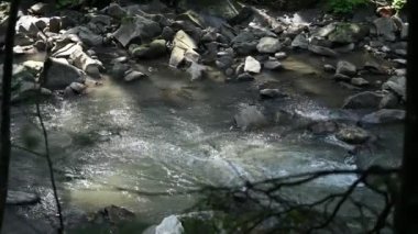 Dağ nehri su manzarası. Dağlardaki vahşi nehir