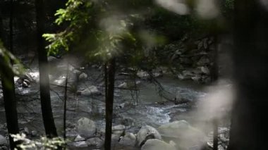 Dağ nehri su manzarası. Dağlardaki vahşi nehir