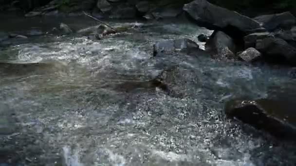 Bergsflodens Vattenlandskap Vild Flod Berg — Stockvideo