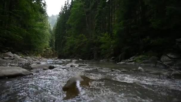 Bergsflodens Vattenlandskap Vild Flod Berg — Stockvideo