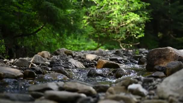 Bergsflodens Vattenlandskap Vild Flod Berg — Stockvideo