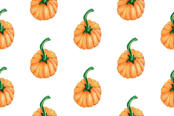 Pattern pumpkin on a white background autumn