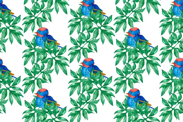 白い背景の青い鳥パターン — ストック写真