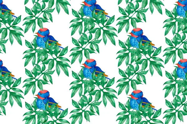 Blue birds pattern on white background