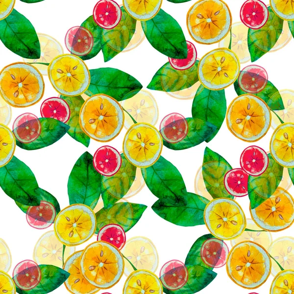 Aquarell Zitronenscheiben Mit Grünem Blättermuster Auf Weißem Papier — Stockfoto