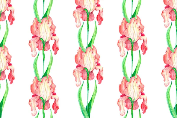 ピンクの花とシームレスなパターンのイラスト — ストック写真