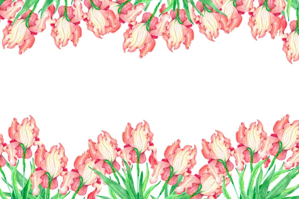 Pembe Çiçekler Ile Dikişsiz Desen Illüstrasyon — Stok fotoğraf