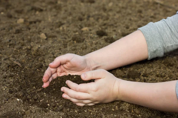 handful of arable soil in the hands of a child