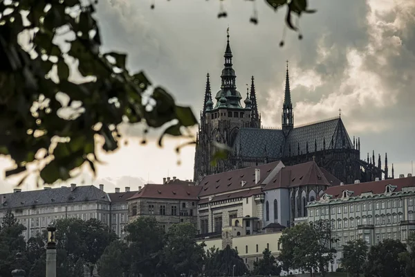 Cathedral St Vitus Prag — Stok fotoğraf