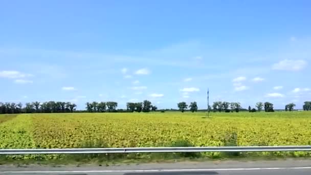 Landskap Ukraina Landsbygden Från Gatan — Stockvideo
