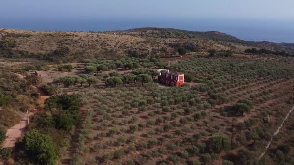 オリーブの木と海のある農場の本当のパノラマビュー — ストック動画