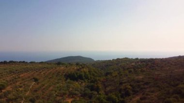 Ufukta zeytin ağaçları ve deniz olan dağların panoramik manzarası