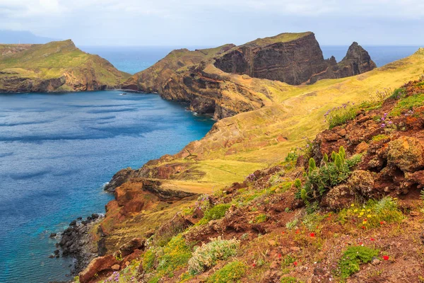 Панорама Груба Узбережжя Португалії Мадейра Природний Заповідник Понта Сан Lourenco — стокове фото