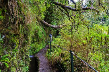 Bir yol boyunca bir levada madeira, Portekiz dağlarda yürüyüş uzun yürüyüşe çıkan kimse