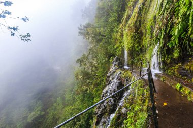 Levada Madeira, Portekiz Dağları boyunca yürüyüş yolu üzerinde yağmurlu bir günde düşen Şelalesi